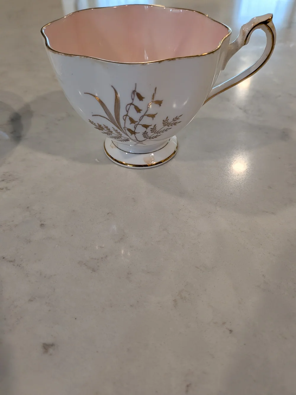 Pink Interior Porcelain Teacup and Saucer with Gold Floral Trim Differen Maker